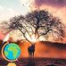 Marc Belleville - Facebook