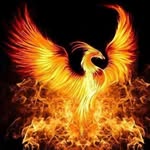Marc Belleville - @marcbelleville20 - Instagram