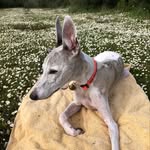 Marc Belleville - @winch867 - Instagram