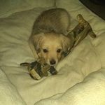 Marc Berman - @marc.berman.79274 - Instagram
