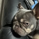 Marc J Berry - @marcberry839 - Instagram