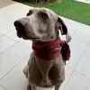 Marcbert79 - @marcbert79 - TikTok