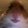 Marc Bertram838 - @marc.b11 - TikTok