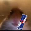 Marc Bertram - @marcbertram2 - TikTok