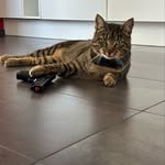 Marc Bittner - @obelix3001 - Instagram