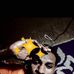 Marc Blitz - Facebook