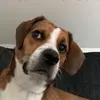 marcusbohan8 - @marcusbohan - TikTok