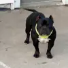 Marc Bowers - @marc.bowers - TikTok