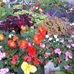 Marcy Bradshaw - Facebook