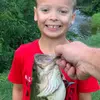Brad Marcy - @bradmarcy3 - TikTok