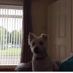 Marc Brady - @attack_on_marc_1705 - Instagram