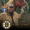 Marc Brideau - @marcbrideau1 - TikTok
