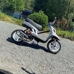 brosius marc - @brosiusmarc - Instagram