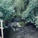 Marc Brouillard - @brouillard4181 - Instagram