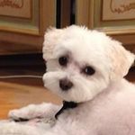 Marc Brucker - @bruckermarc - Instagram