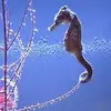 marcbrucker808 - @marcbrucker808 - TikTok