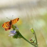 Marc Bruneau - @bruneau_marc - Instagram