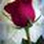 Marc Bruneau - @bruneau3009 - Instagram