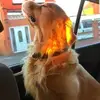 Marco Buentello521 - @marcobuentello521 - TikTok
