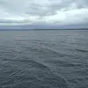 Marc Burr - @marc.burr - TikTok