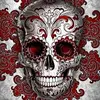 Marc Burrows - @marcburrows - TikTok