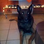 Marc Bussiere - @marc.bussiere.98 - Instagram