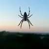 marcbyron5 - @marcbyron5 - TikTok
