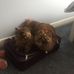 Mark Calnan - Facebook