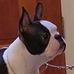 Marc Canter - Facebook