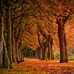 Marc Cantu18 - Facebook