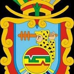Marc Cantu Espindola - @cantuespindola - Instagram
