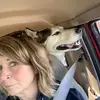 marcycardinal - @marcycardinal - TikTok