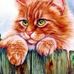 Marc Carolan - Facebook