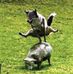 Marc Caron - Facebook
