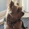 Marc Caron - @marc.caron0 - TikTok