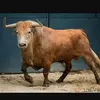 marc castells fito - @marc_valla - TikTok