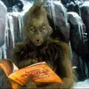marcus.caswell - @marcus.caswell - TikTok