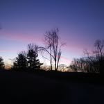 marcchappelle - @marcchappelle4 - Instagram