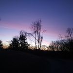marcchappelle - @marcchappelle4 - Instagram