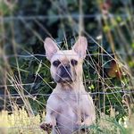 Marc Childs - @marc.childs77 - Instagram