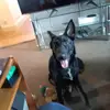 Marc Clarke - @marcus.grant.clarke - TikTok
