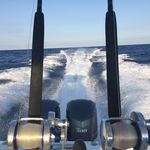 Marc Cline - @marccline62 - Instagram