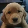 marco_cobox - @marco_cobox - TikTok