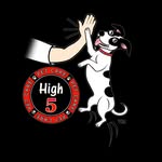 Marc Colucci - @high5petcare - Instagram