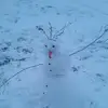 Marci Conley - @marci.conley - TikTok