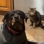 Marc Conte - @marcconte1 - Instagram