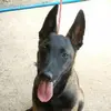 reymarccornejo - @reymarccornejo - TikTok
