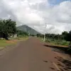 Tony - @cornejomarc - TikTok