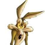Marco Antonio Medina Gonzalez - @marc_coyote - Instagram