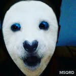 Marccraft 6blovit - @marccraft6b - Instagram